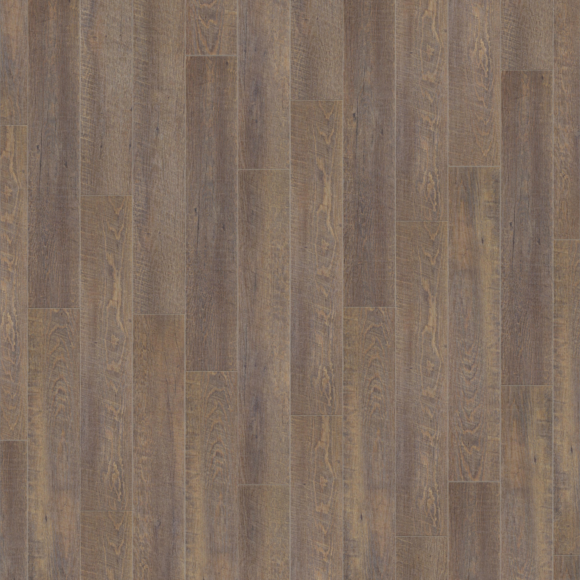 BUDDHA 230345017