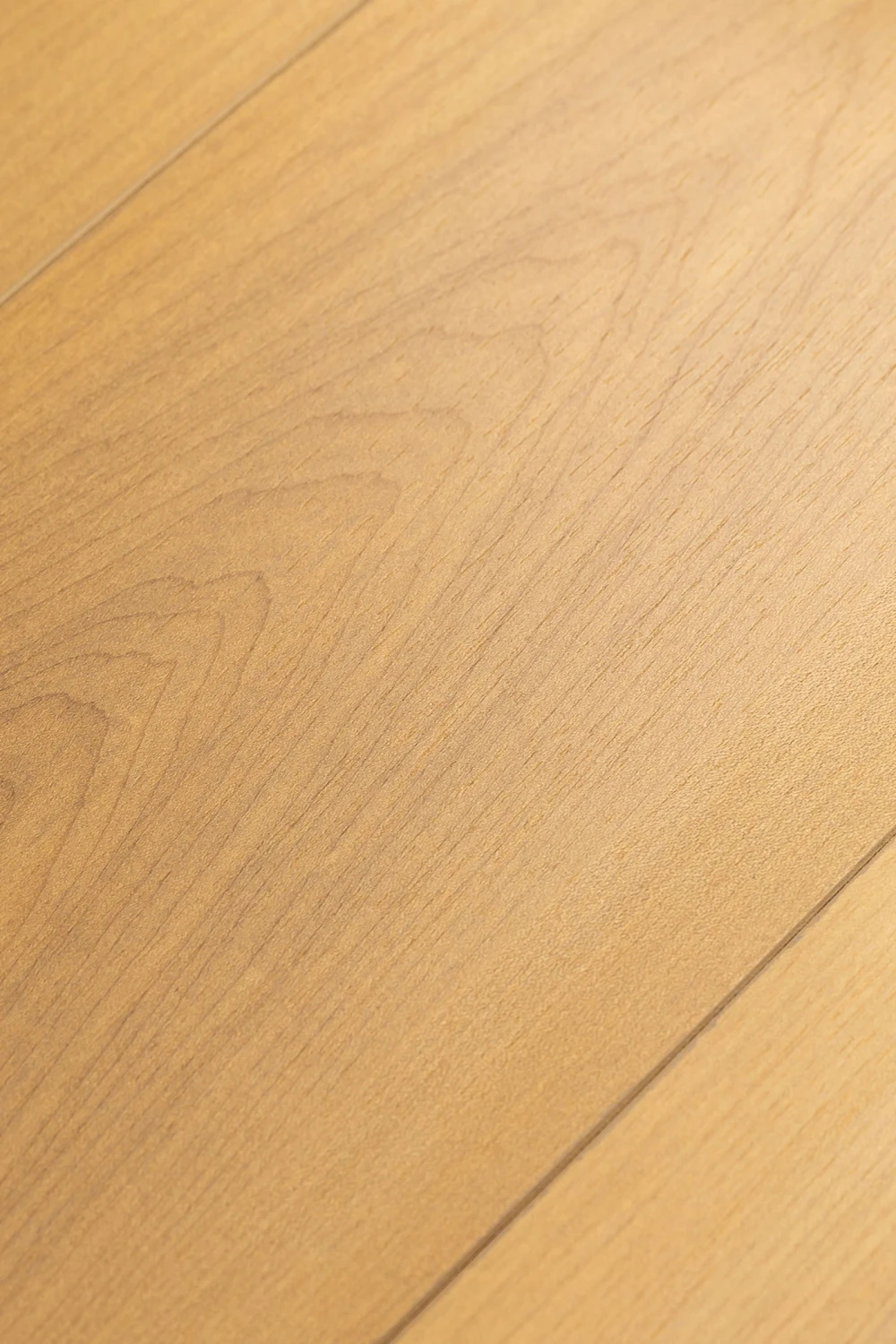 Дуб Ривьера | Rivera oak 1F407