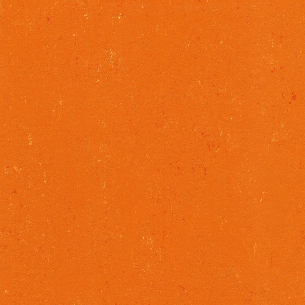 137-170 kumquat orange