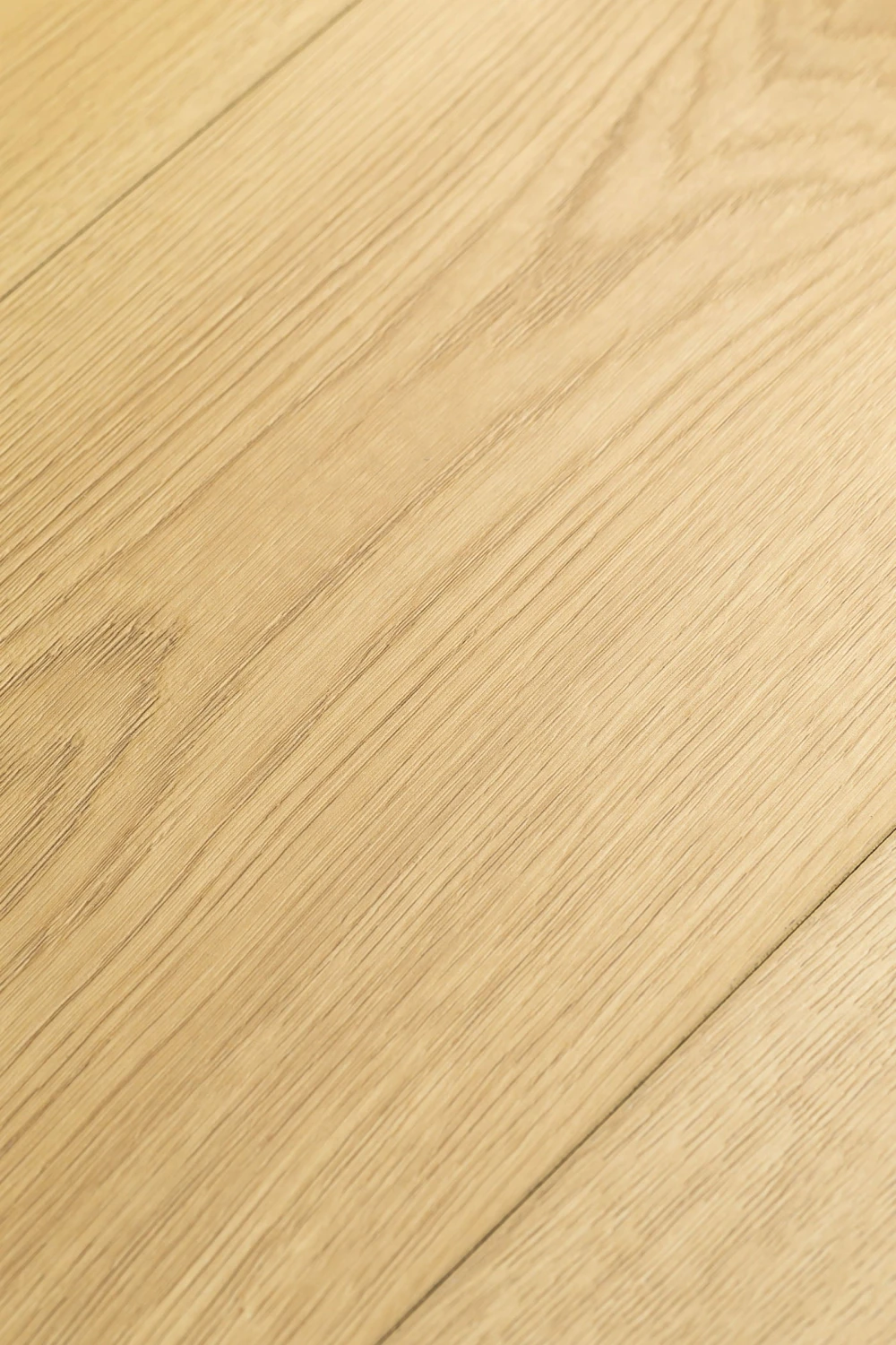 Дуб Калибра| Calibra oak 1F401