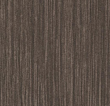 911005 walnut